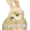Es que te extraño