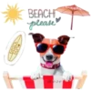 HOLIDAY DOGS 12