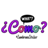 WHAT?
¿Como?
eZambranoSticker