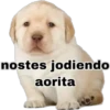 nostes jodiendo
aorita