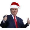 Stickers Navideños    3 8