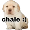chale :(