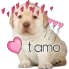 tamo