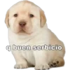 q buen serbicio