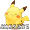 PIKACHU 17