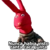 Nunca había visto
tanta caca junta
