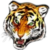Tigres 10