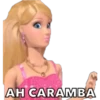 CERCOO
AH CARAMBA