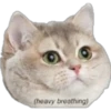 (heavy breathing)