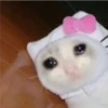 Michis Llorando #2 16