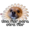 omnia d
Una flor para
otra flor