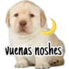 Vuenas noshes