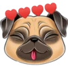 perro pug 7