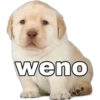 weno