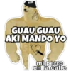 PERRO MUSCULOSO 🇦🇷 11