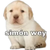 simón wey