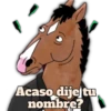 Acaso dijeltu, nombre?
