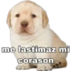 me lastimaz mi
Corason