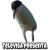 Memes uwu 10 21