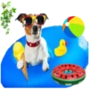 HOLIDAY DOGS 20