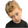 Gavin Memes 19 🙄
