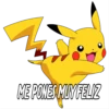 PIKACHU 21