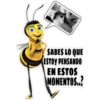 BEE MOVIE 18