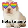 hola te amo