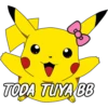 PIKACHU 24
