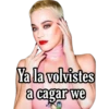 Katty Perry con frases 22