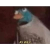 AY WEY