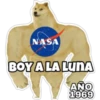 PERRO MUSCULOSO 🇦🇷 13