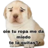 oie tu ropa me da
miedo
te la quitas?