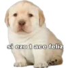 si ezo t ace feliz