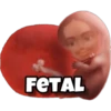 Memes uwu 10 24