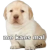 me kaes mal