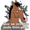 Que no ves que ando bien pedo