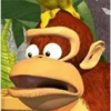 Donkey Kong 14