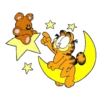 Garfield 20
