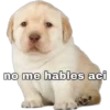 no me hables aci