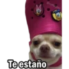 @raffadiiaz
Te estaño