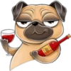 perro pug 11
