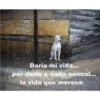 Daria mi vida...
por darle a cada animal...
la vida que merece