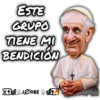 Caricatura V1 24