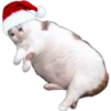 Stickers Navideños    3 26