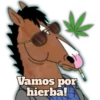Vamos por hierba!