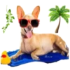 HOLIDAY DOGS 27