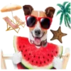 HOLIDAY DOGS 29