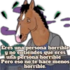 Eres una persona horrible y no entiendes que eres una persona horrible... Pero eso no te hace menos horrible.