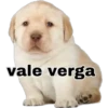 vale verga